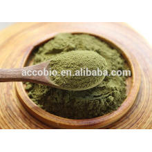 Pure Natural Herbal Extract bulk moringa leaf extract powder